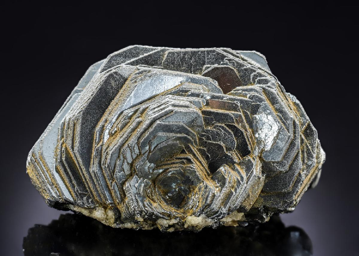 CC27095 specimen image