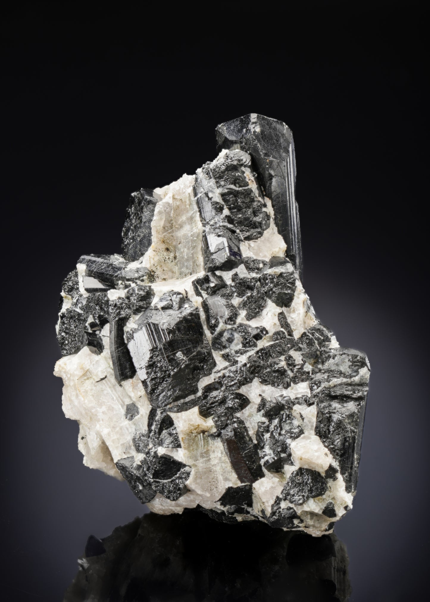 SCHORL