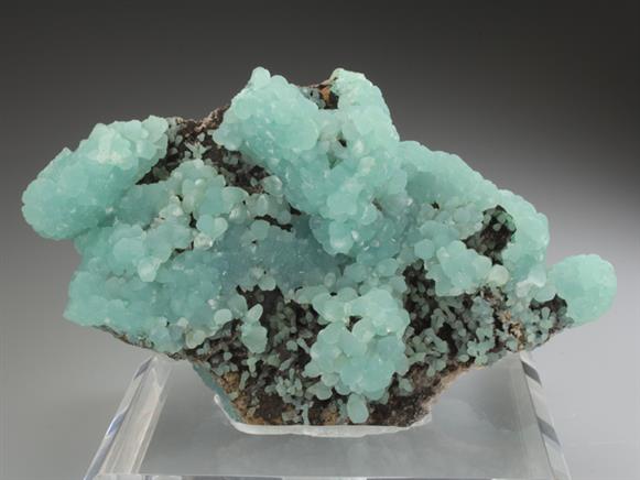 CC2718 specimen image