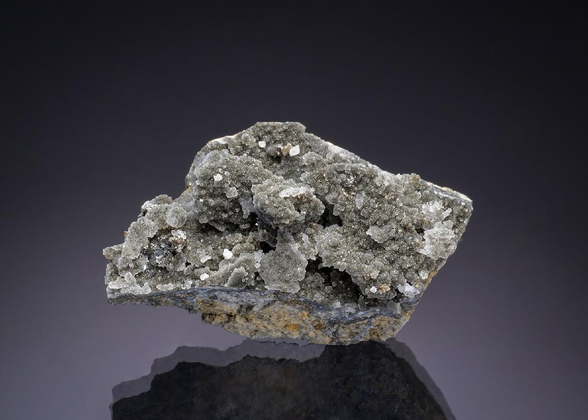 CC27323 specimen image