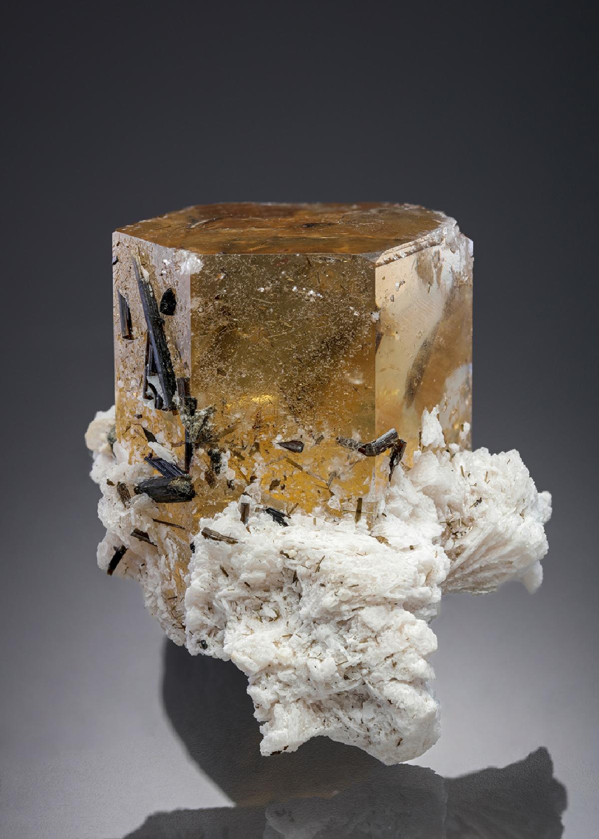 CC27503 specimen image