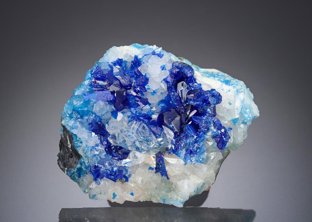 CC27841 specimen image