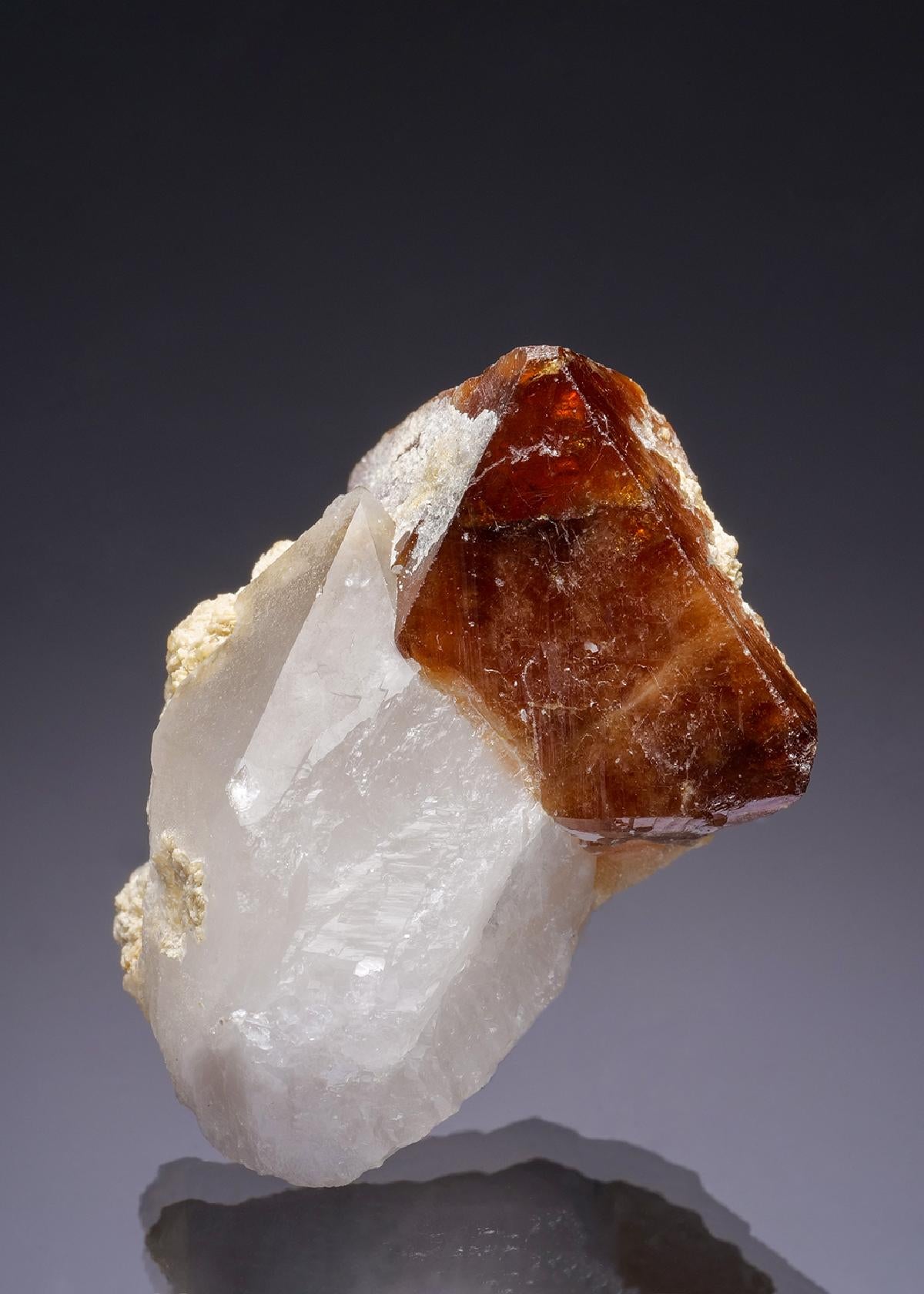 CC27899 specimen image