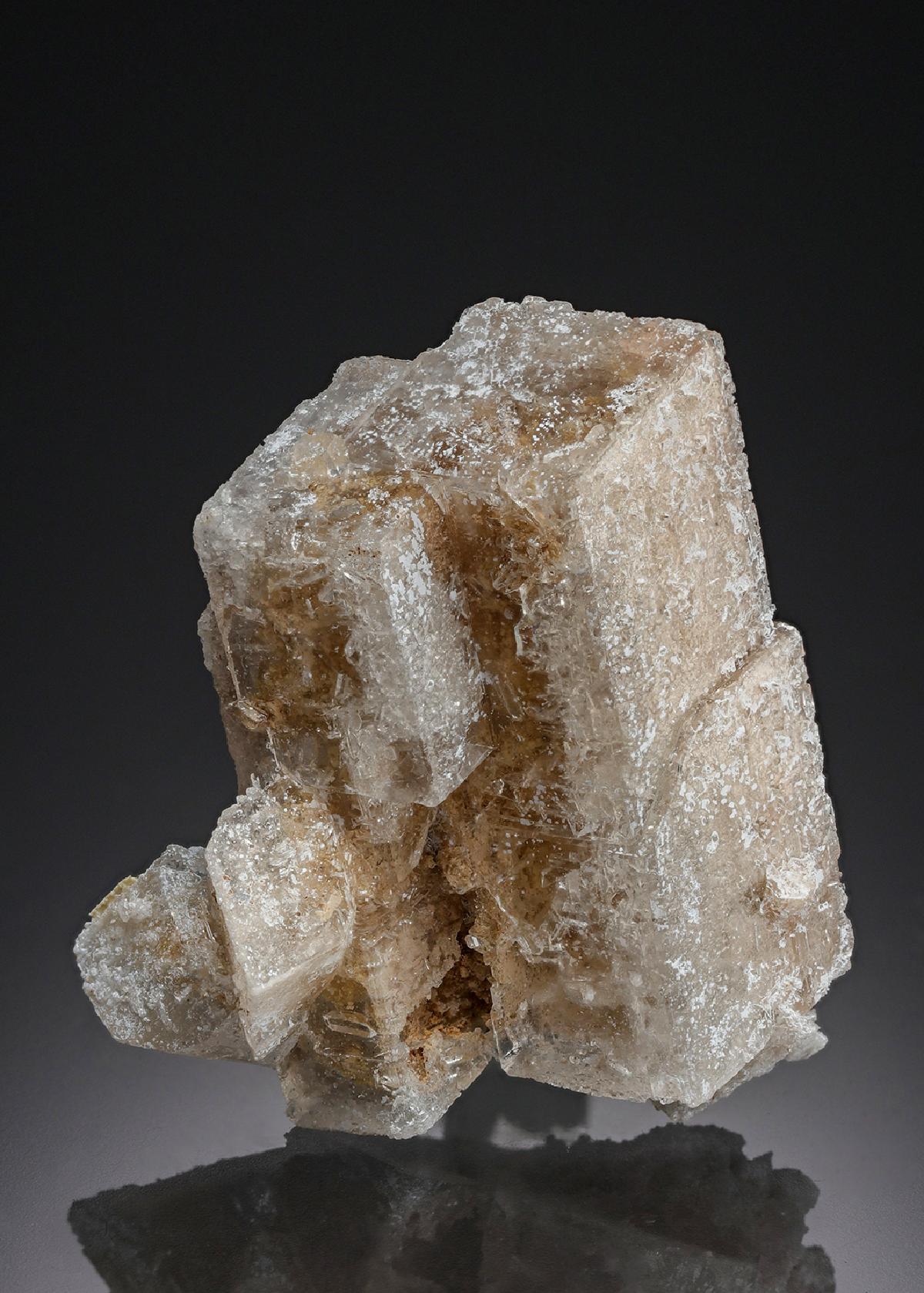CC28179 specimen image