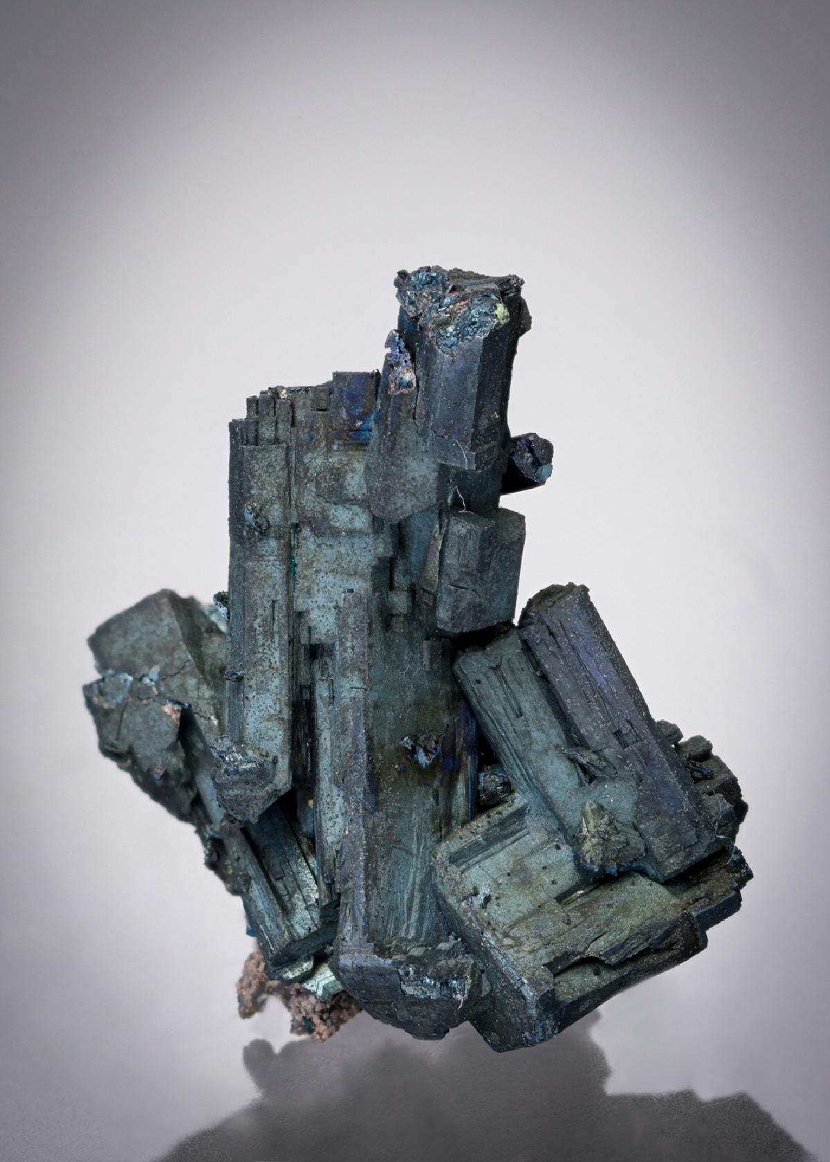 CC28479 specimen image