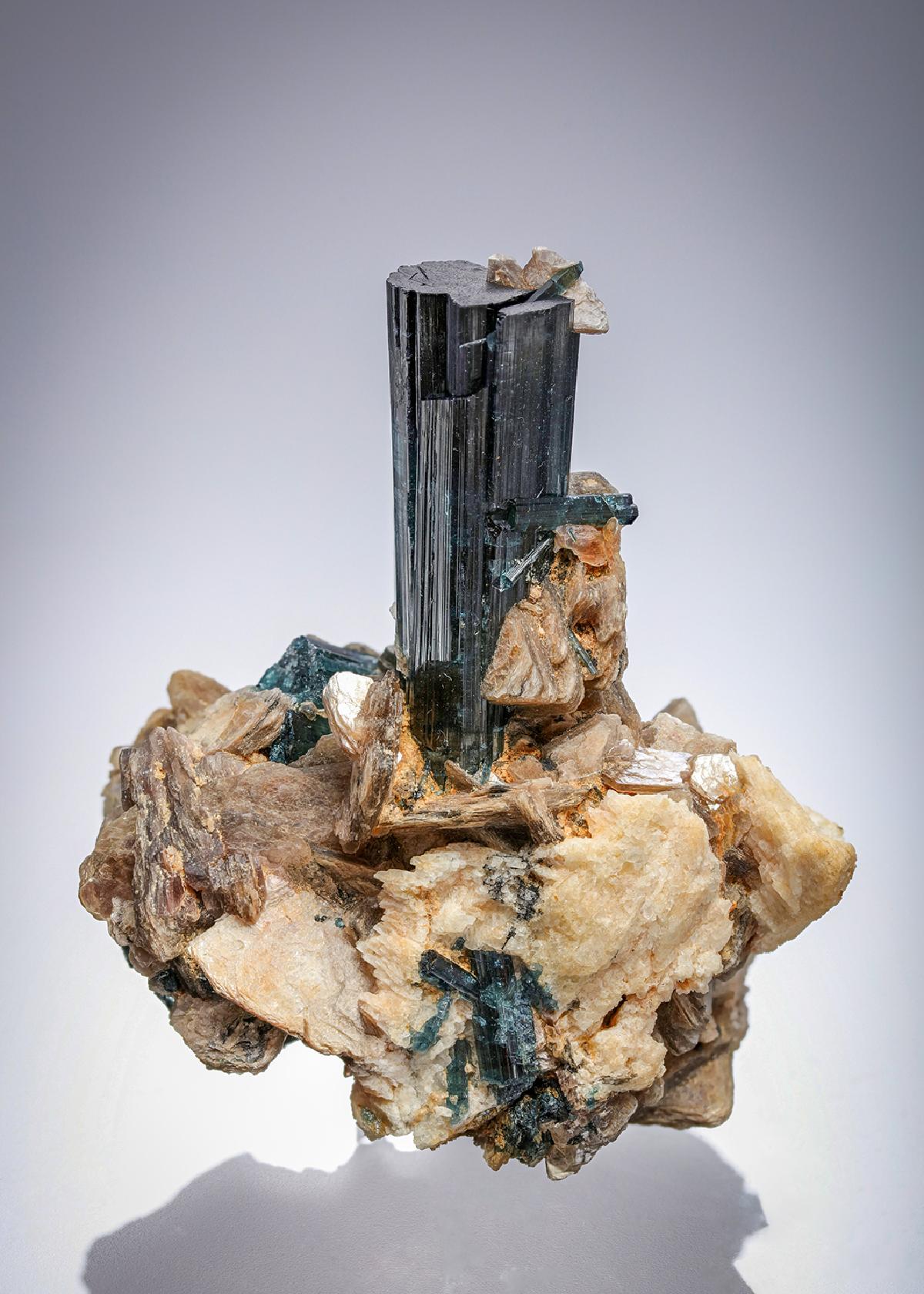 CC28801 specimen image