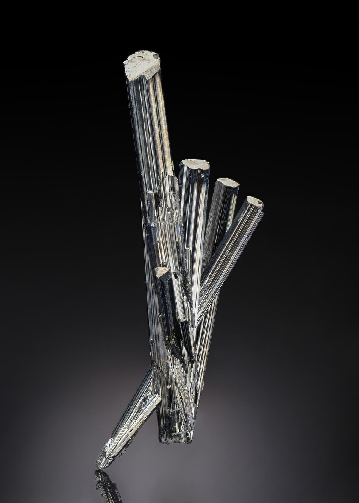 CC28835 specimen image