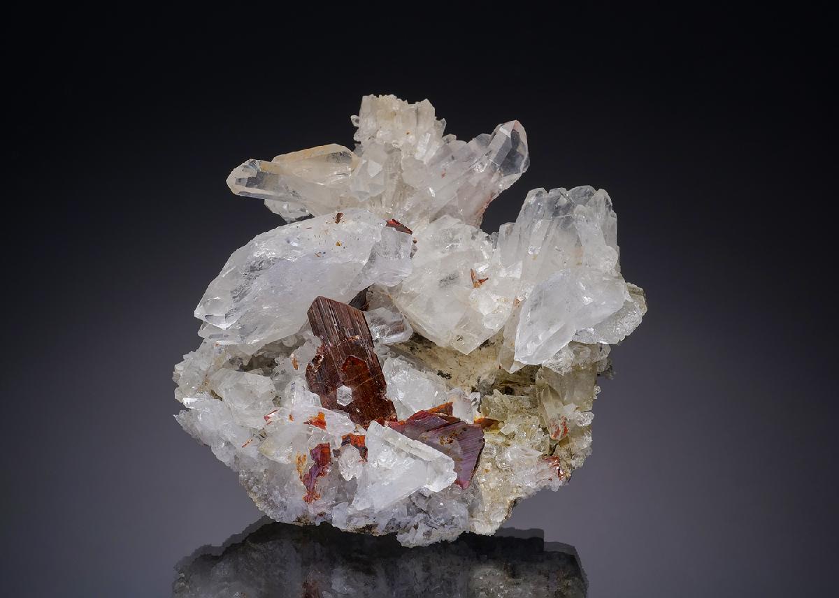 CC30423 specimen image