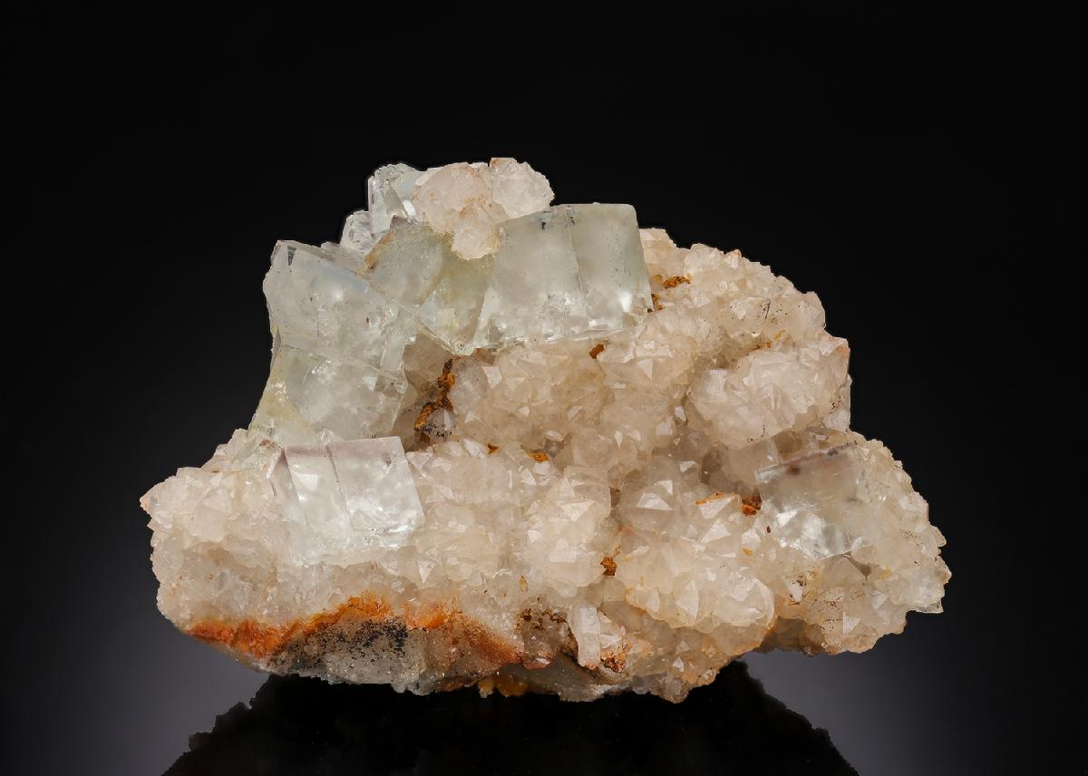 CC30501 specimen image