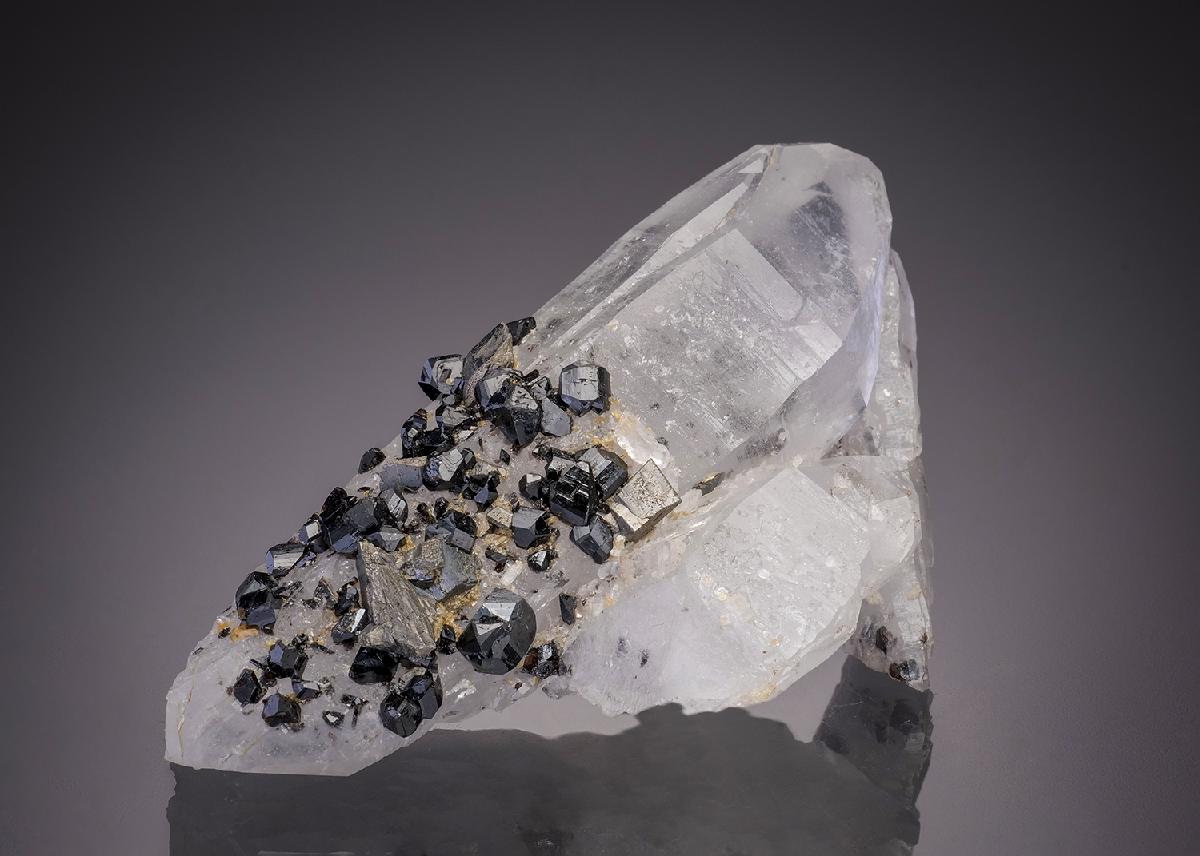 CC31801 specimen image