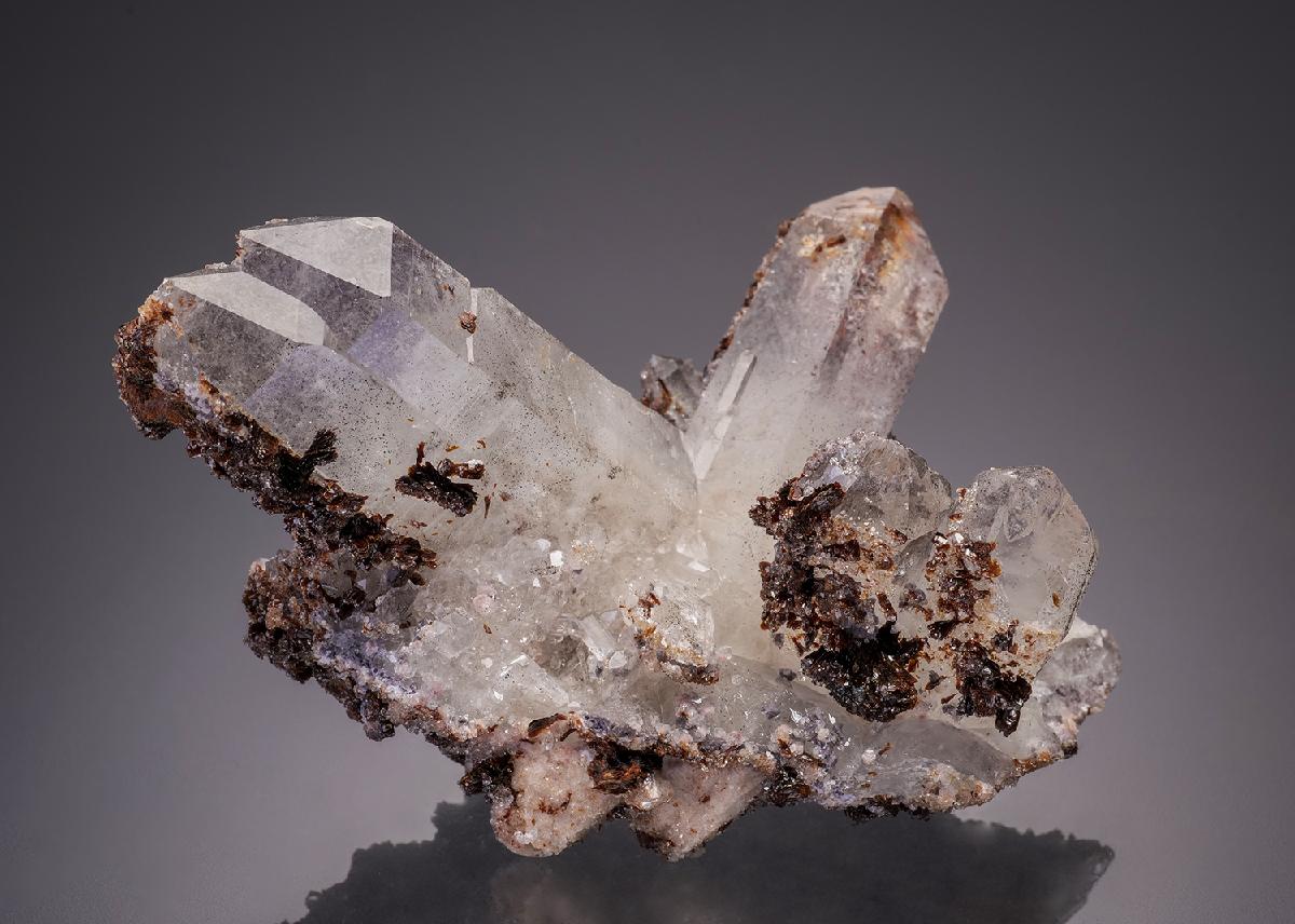 CC31846 specimen image