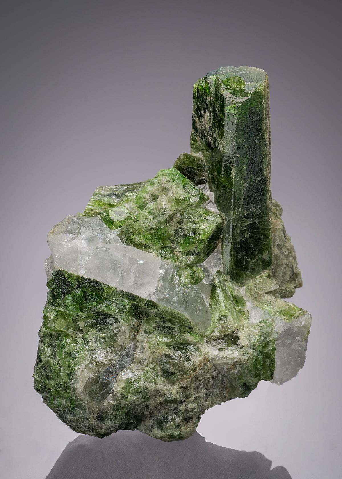 CC32206 specimen image