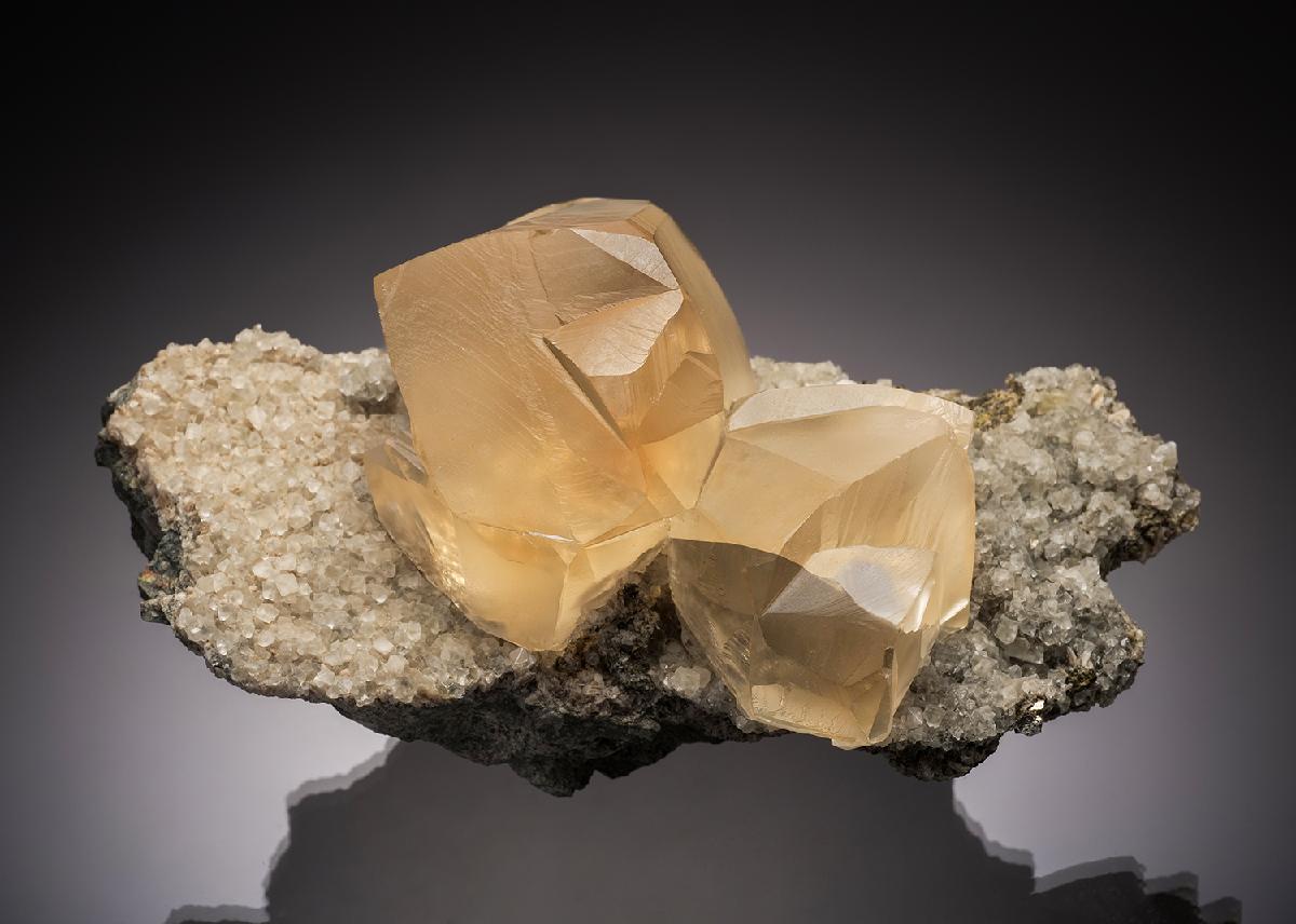 CC32275 specimen image