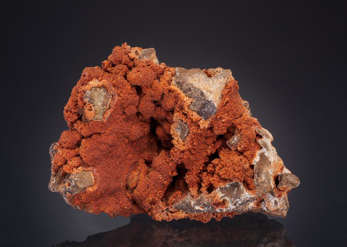 CC32317 specimen image