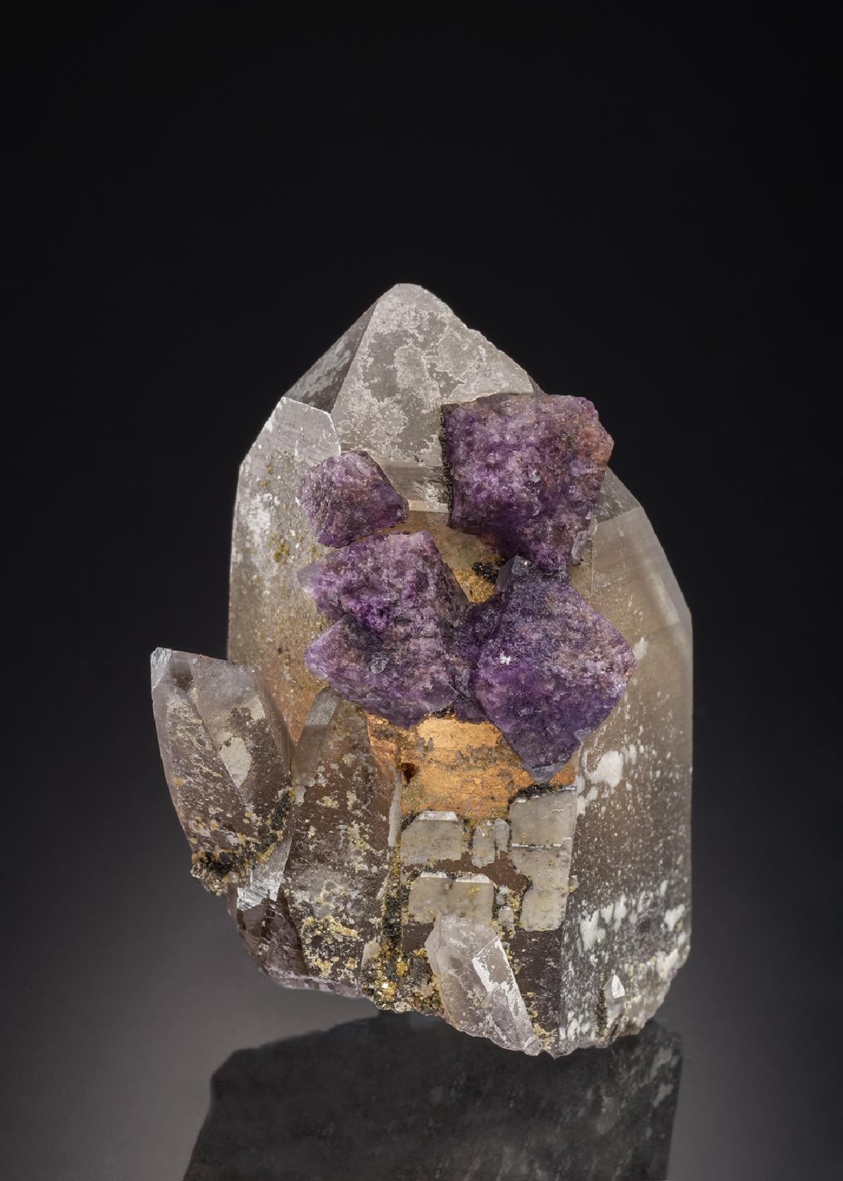 CC32365 specimen image