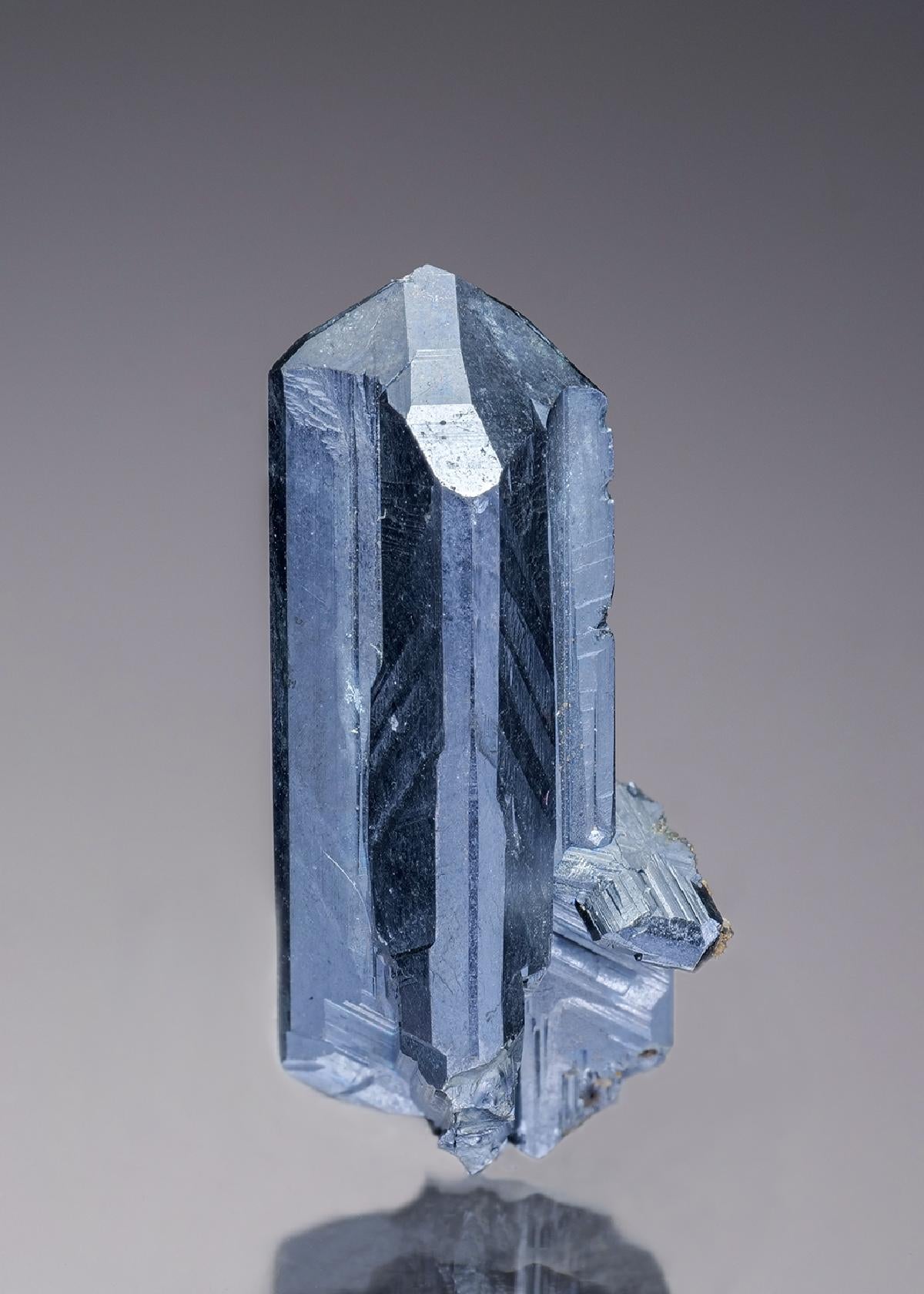 CC34419 specimen image