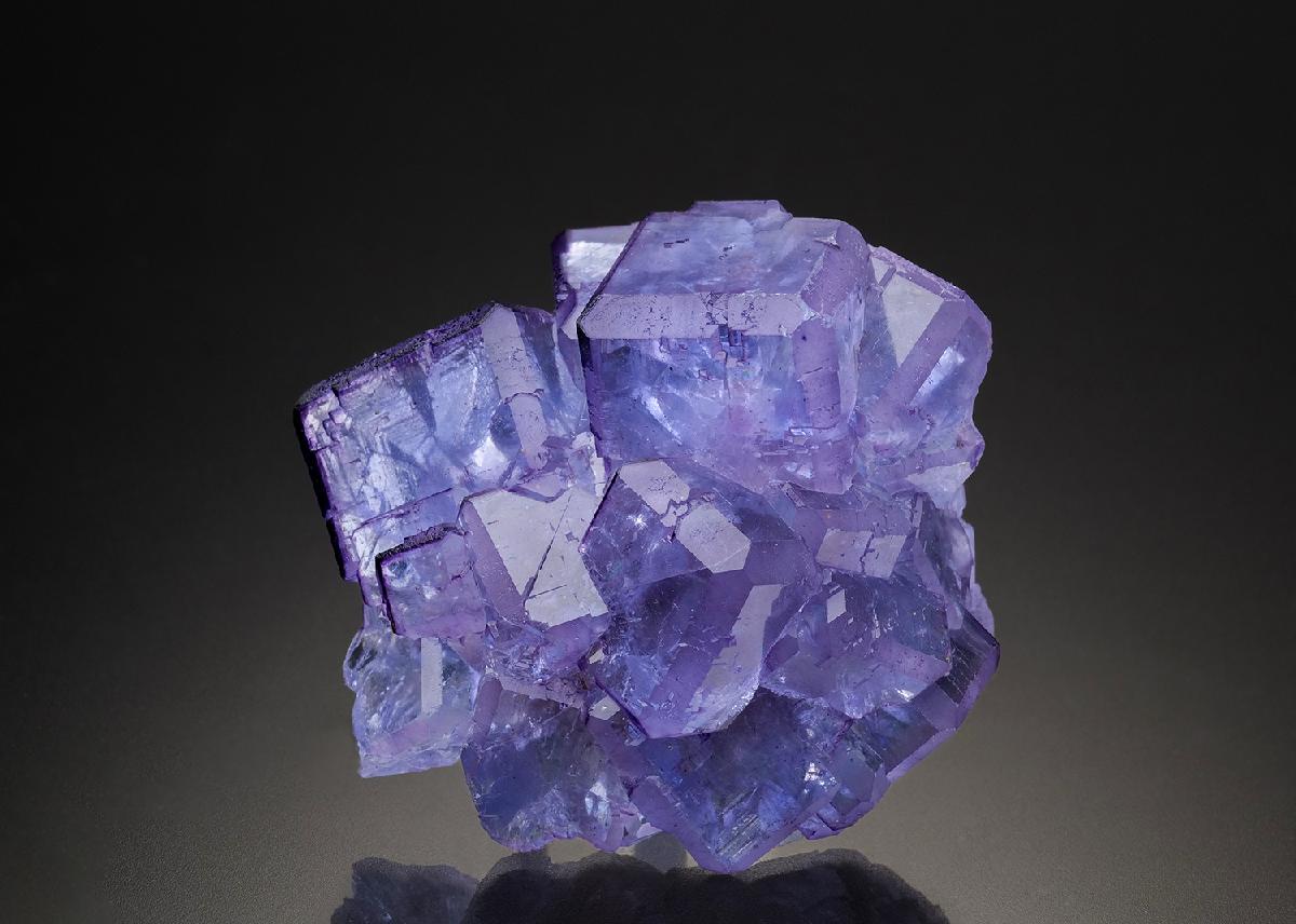 CC34479 specimen image