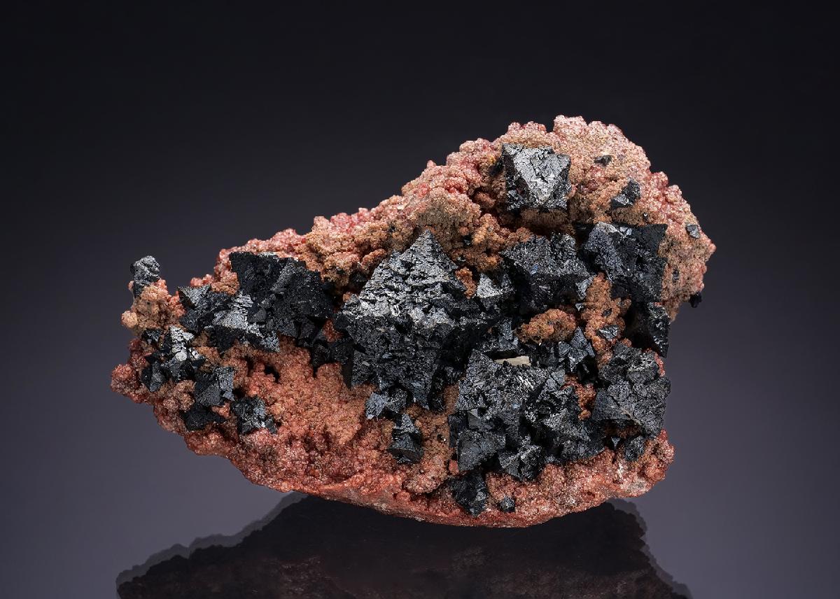 CC35060 specimen image