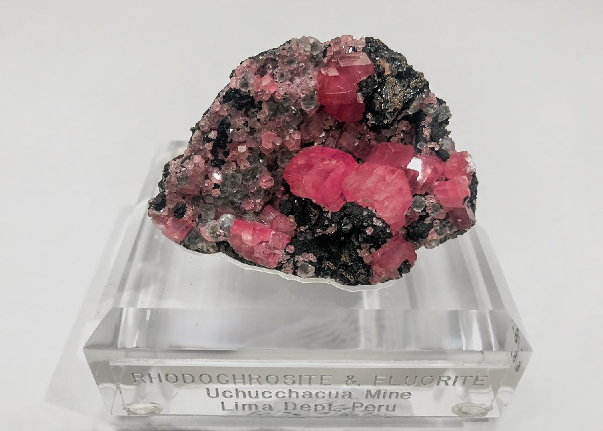 CC35666 specimen image