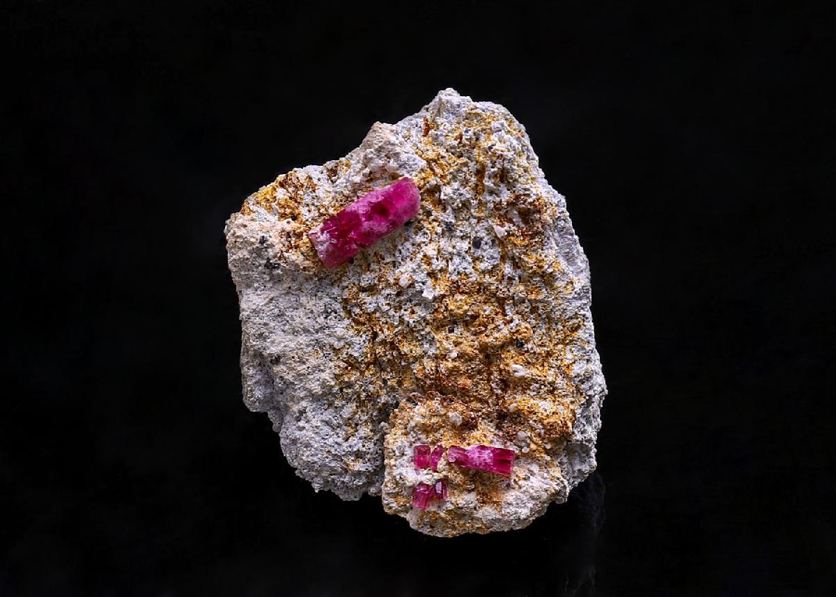 CC39852 specimen image