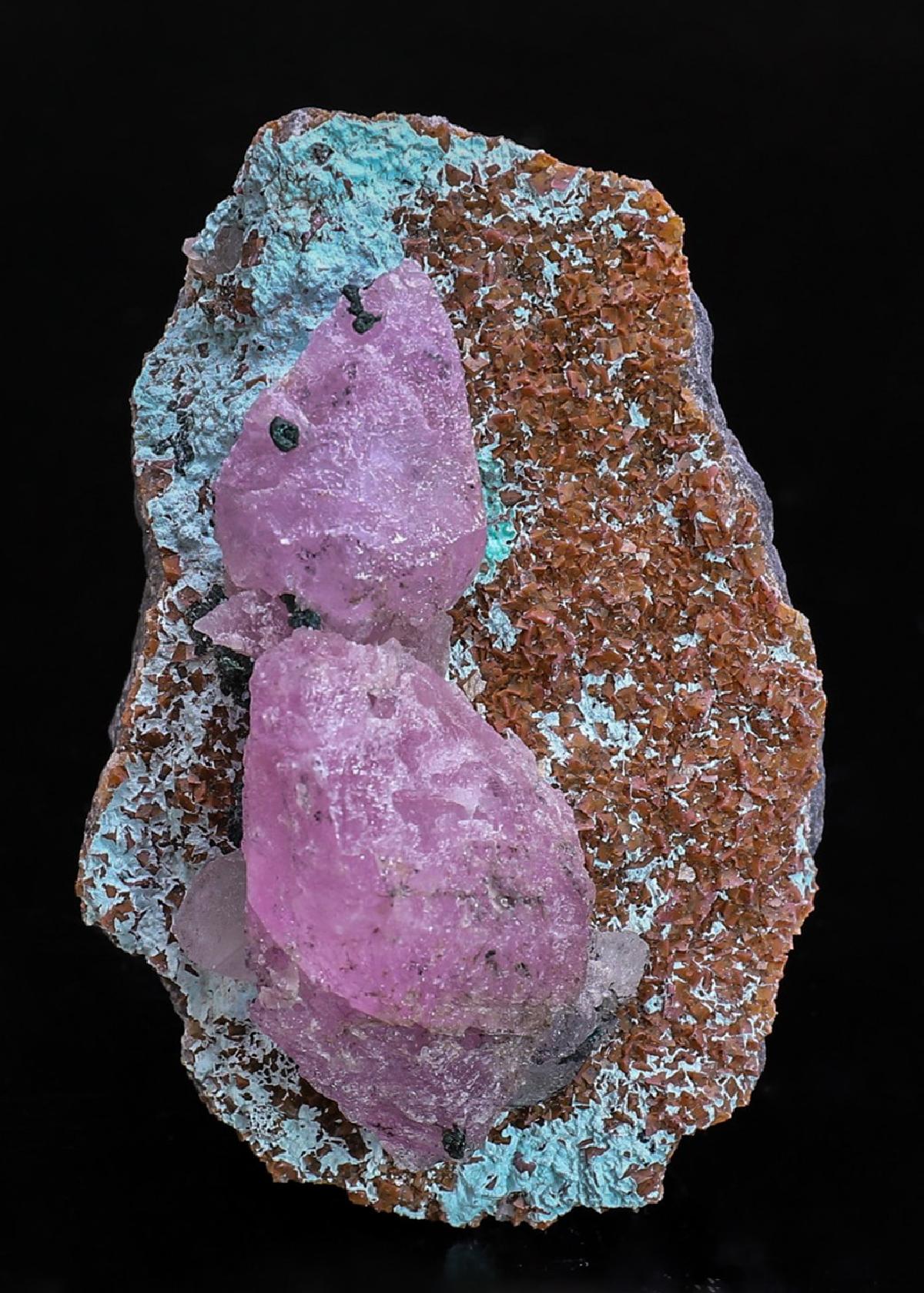 CC40158 specimen image
