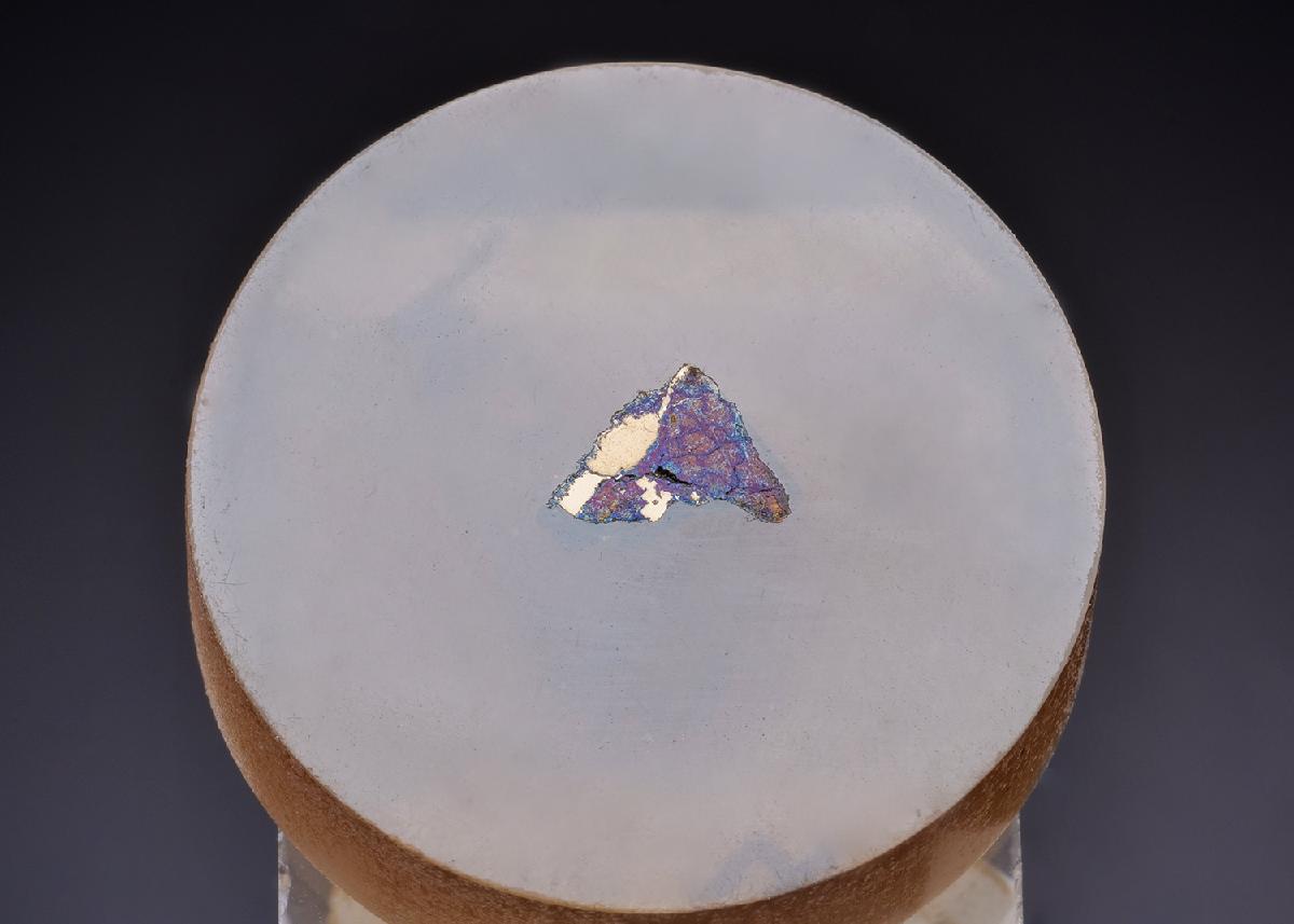 CC43648 specimen image