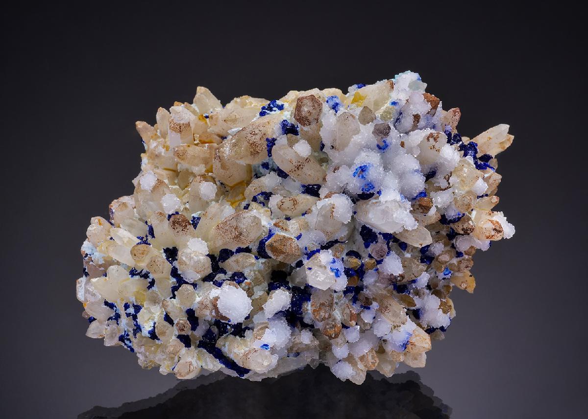 CC47032 specimen image