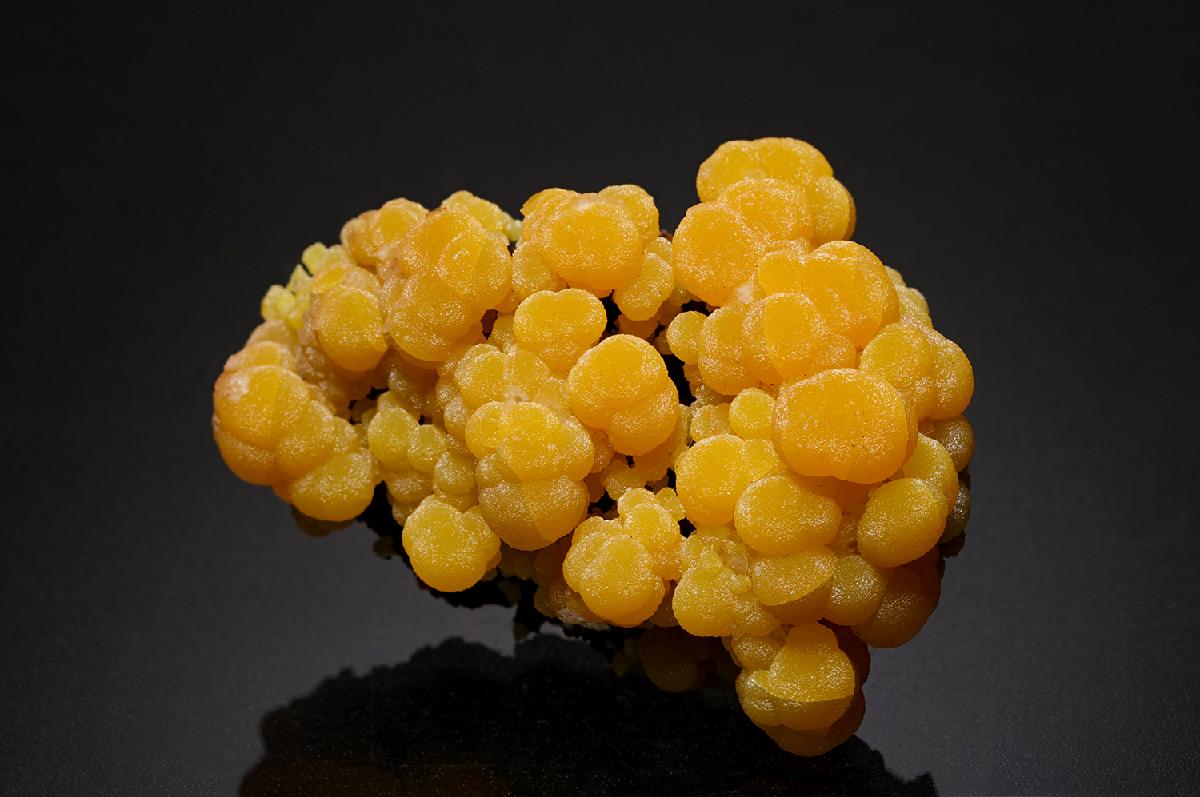 CC4708 specimen image