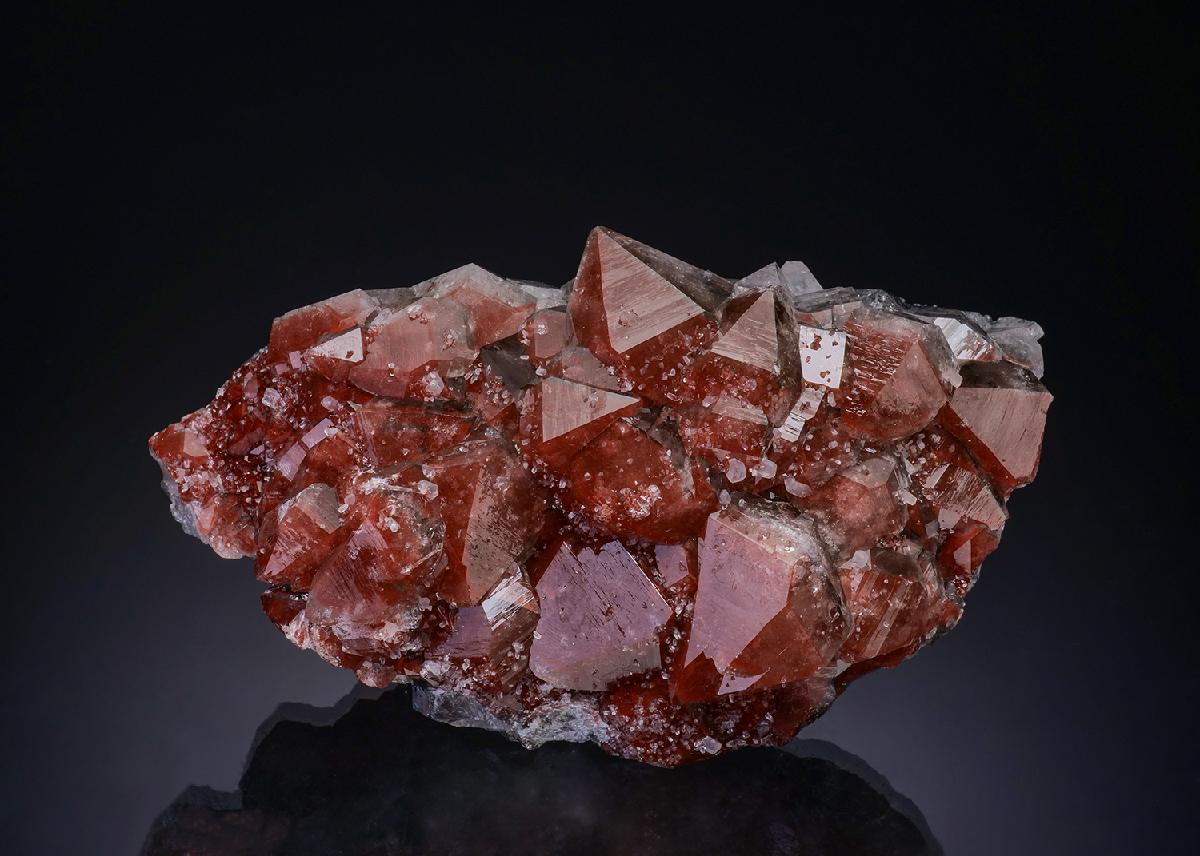 CC48342 specimen image