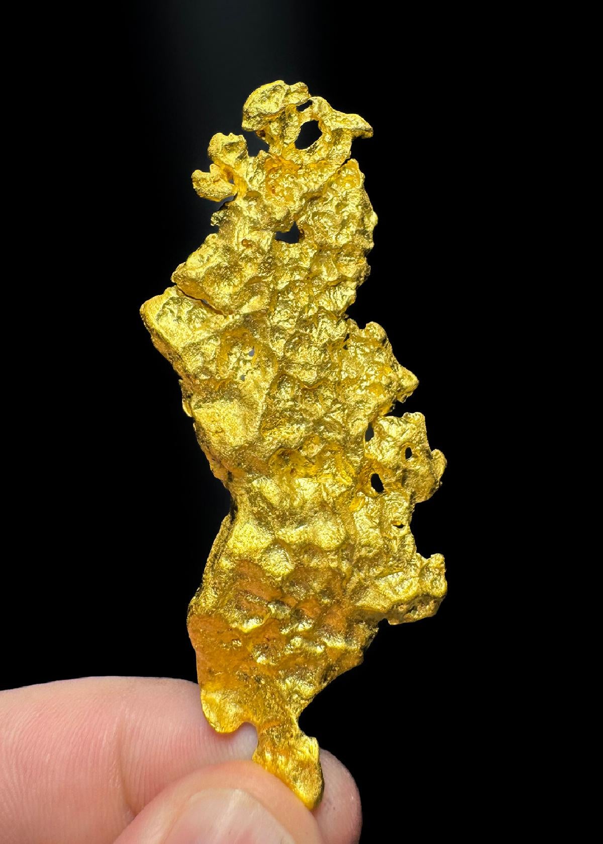 CC50454 specimen image