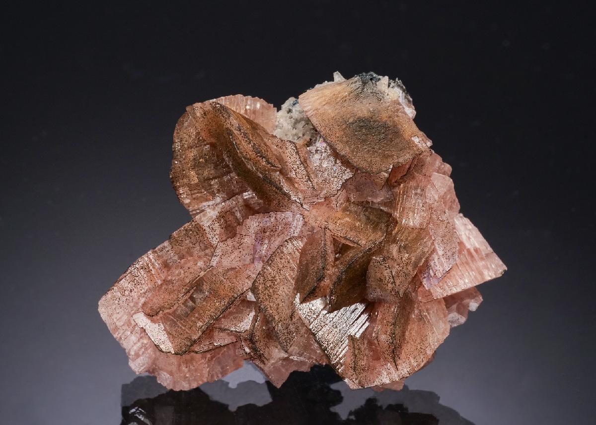 CC53124 specimen image