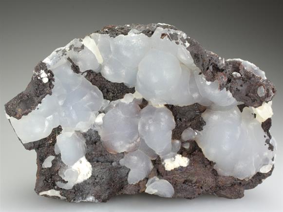 CC5362 specimen image