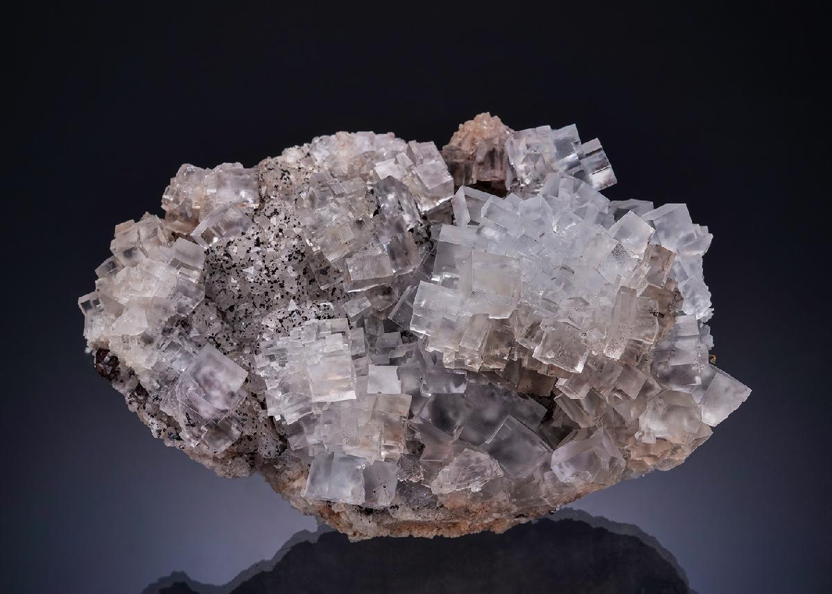 CC53888 specimen image