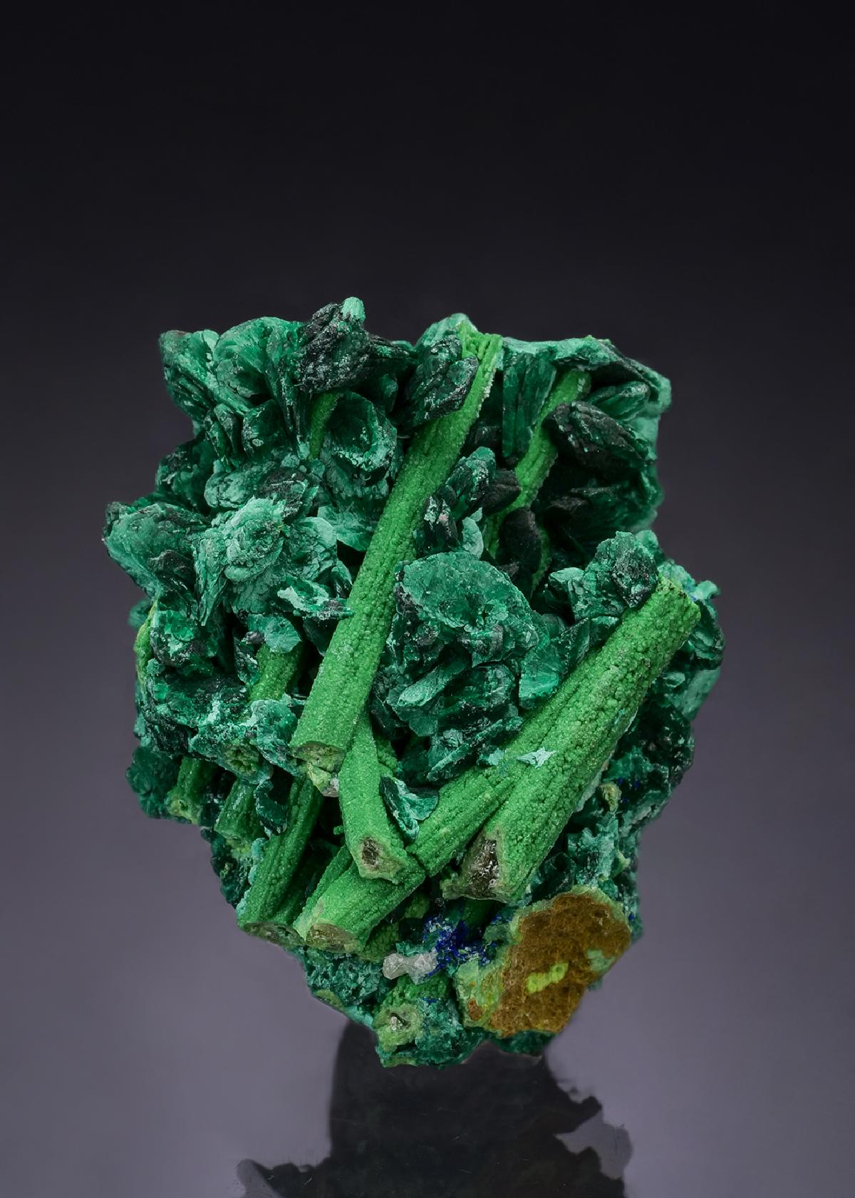 CC53944 specimen image