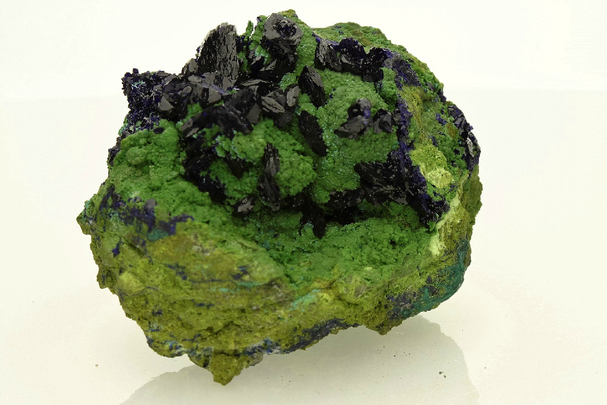 CC5633 specimen image