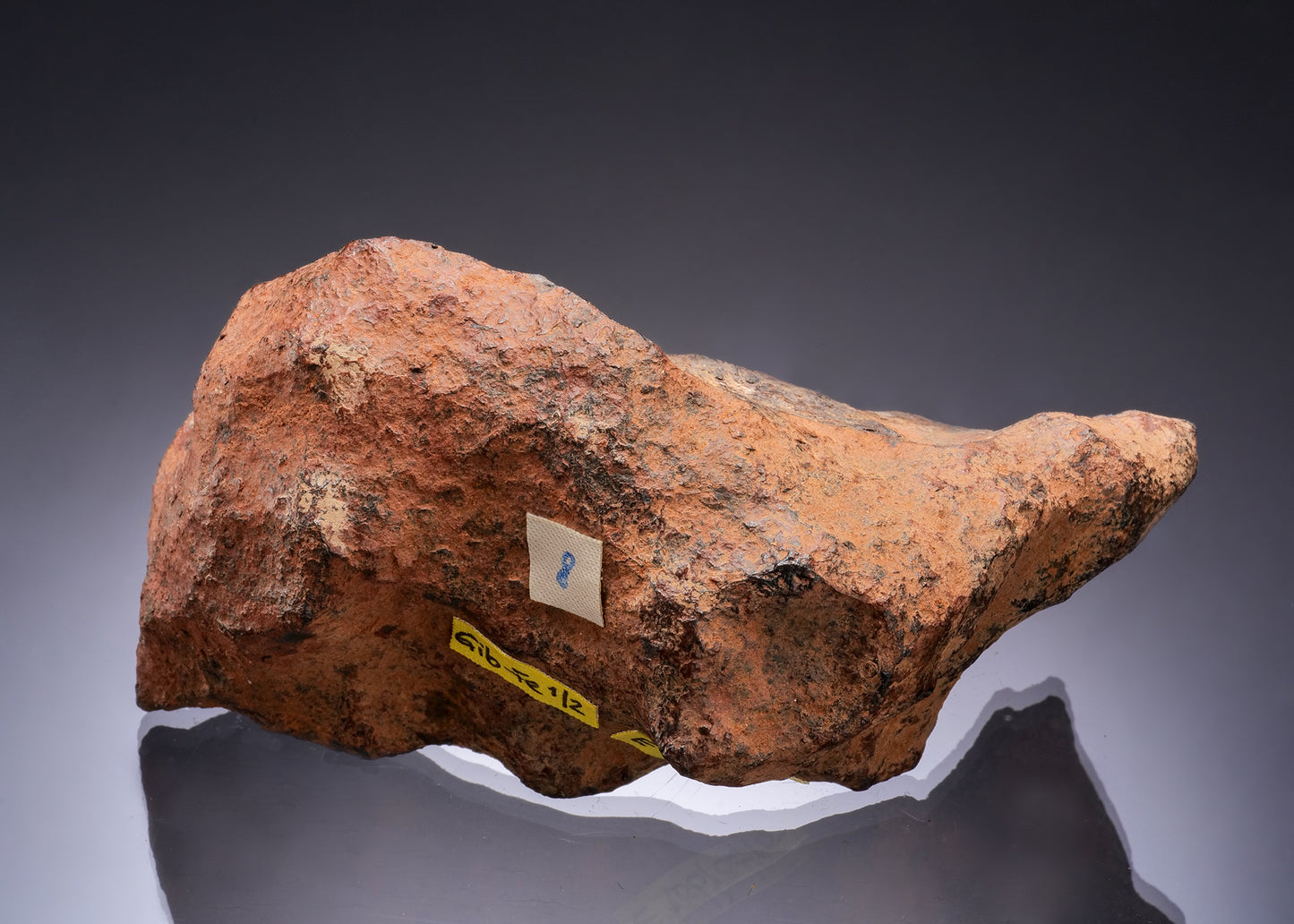 IRON METEORITE Octahedrite Ni-Fe Meteorite