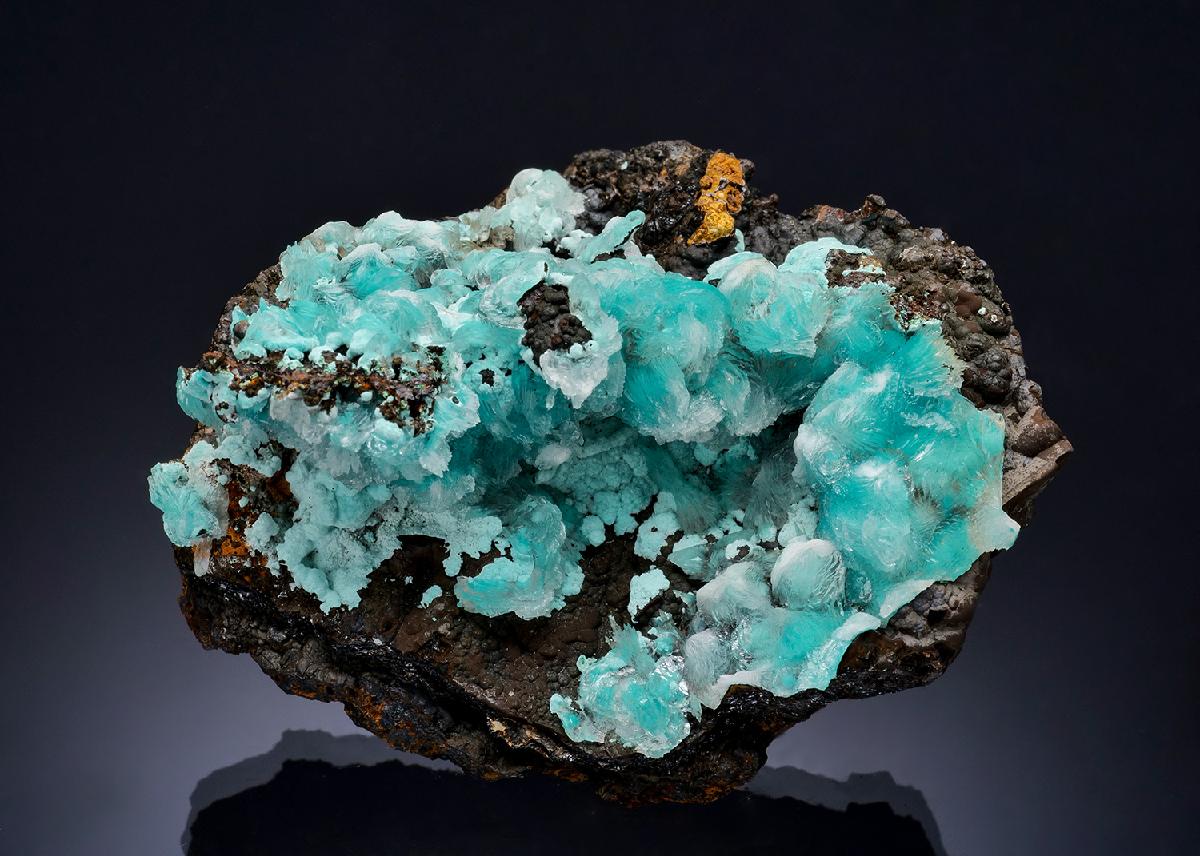 CC57368 specimen image