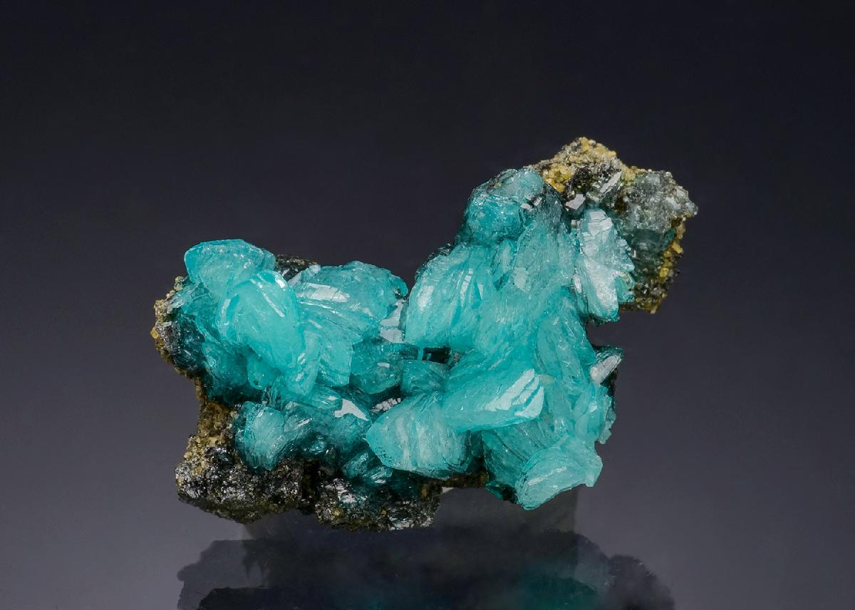 CC57476 specimen image