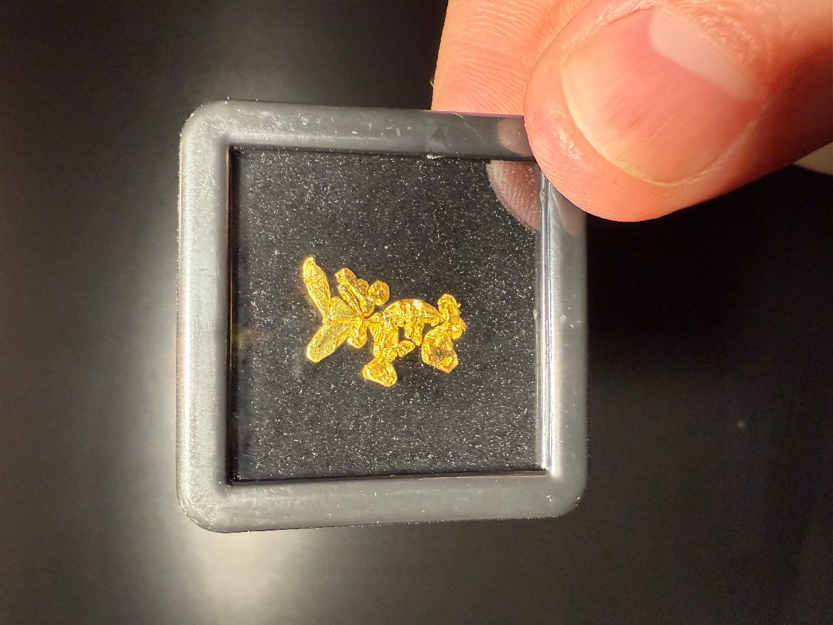 CC57986 specimen image