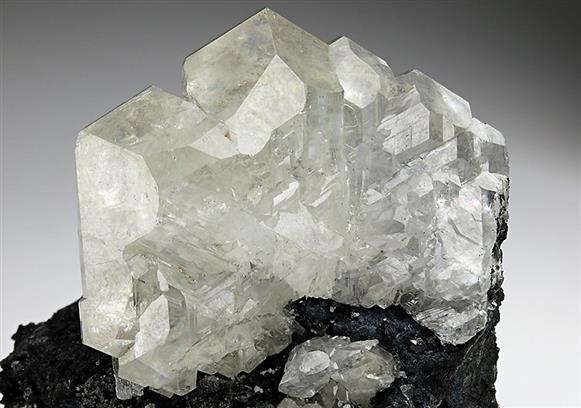 CC5923 specimen image