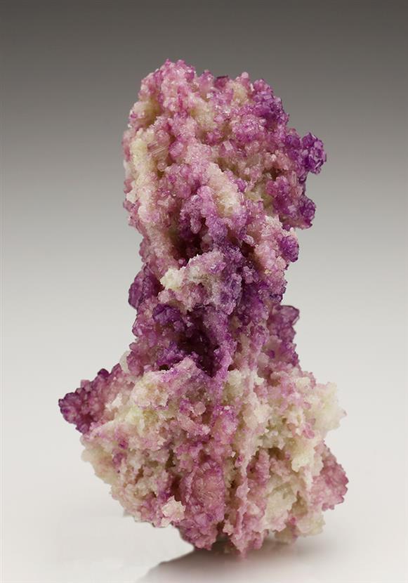 CC6247 specimen image