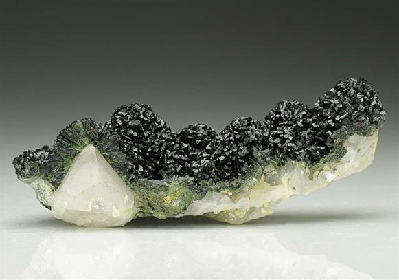CC6612 specimen image