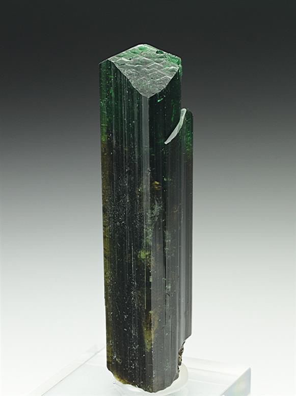 CC6950 specimen image