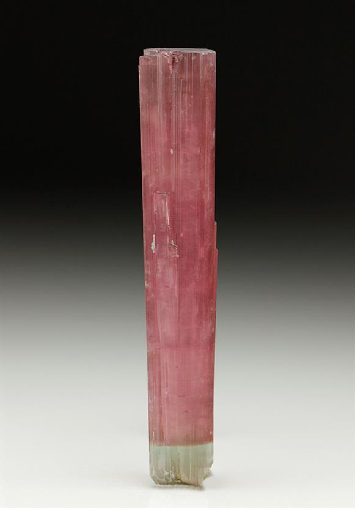 CC7207 specimen image
