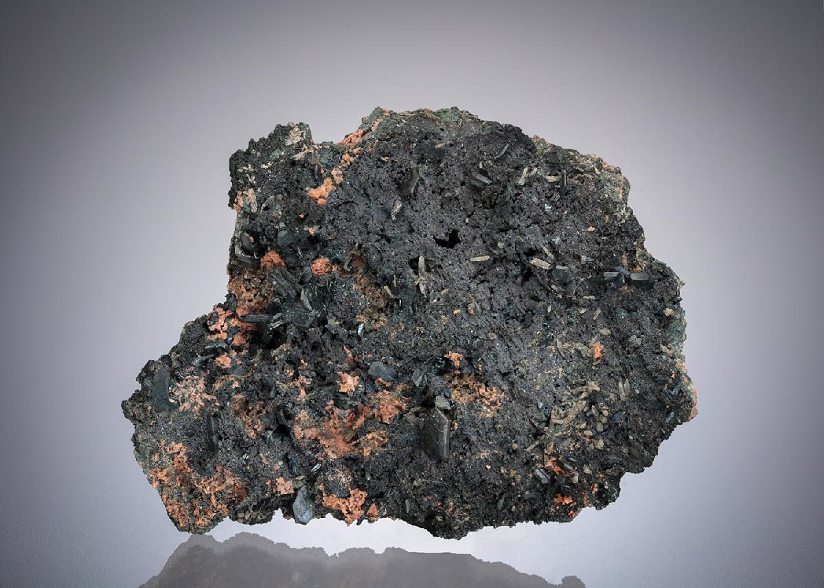 CC7284 specimen image