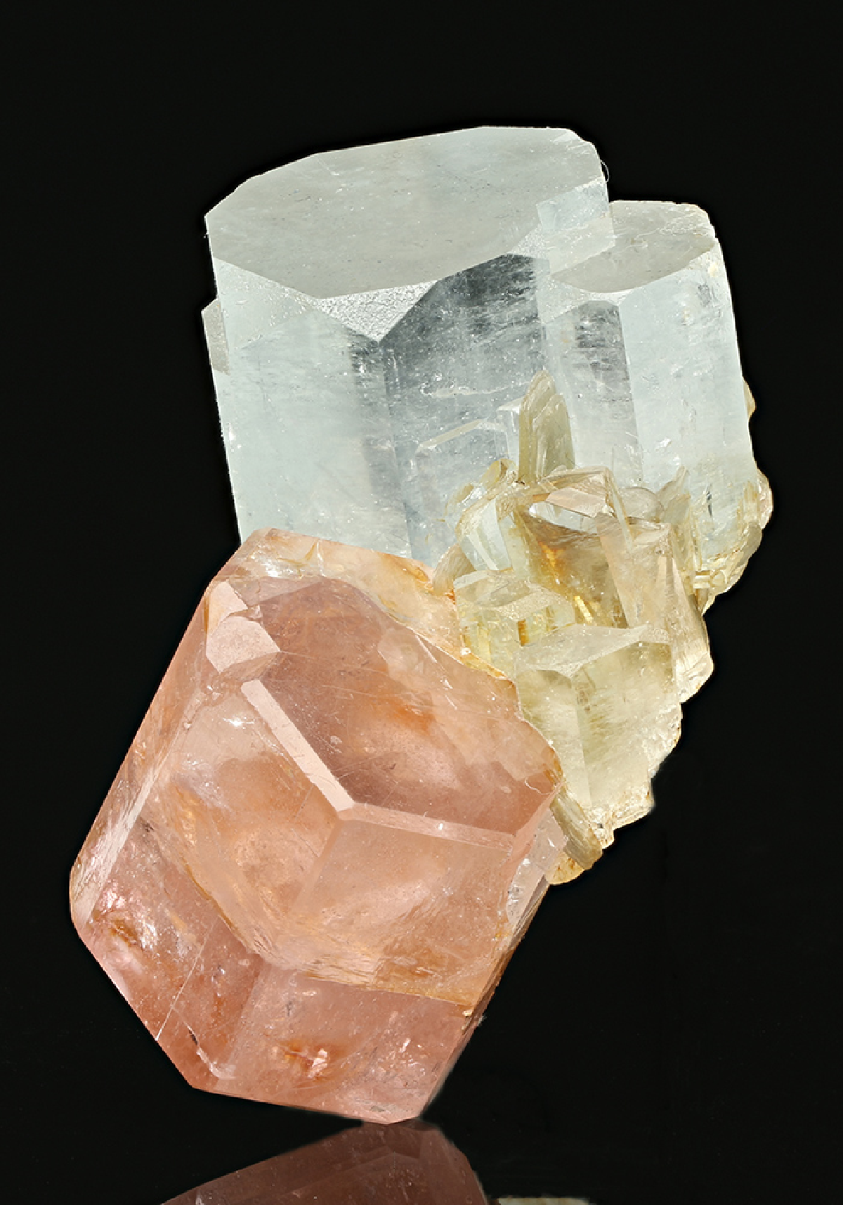 CC7530 specimen image