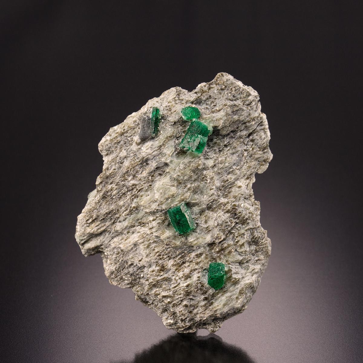 CC7577 specimen image
