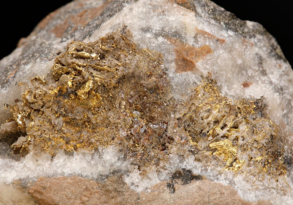 CC7925 specimen image