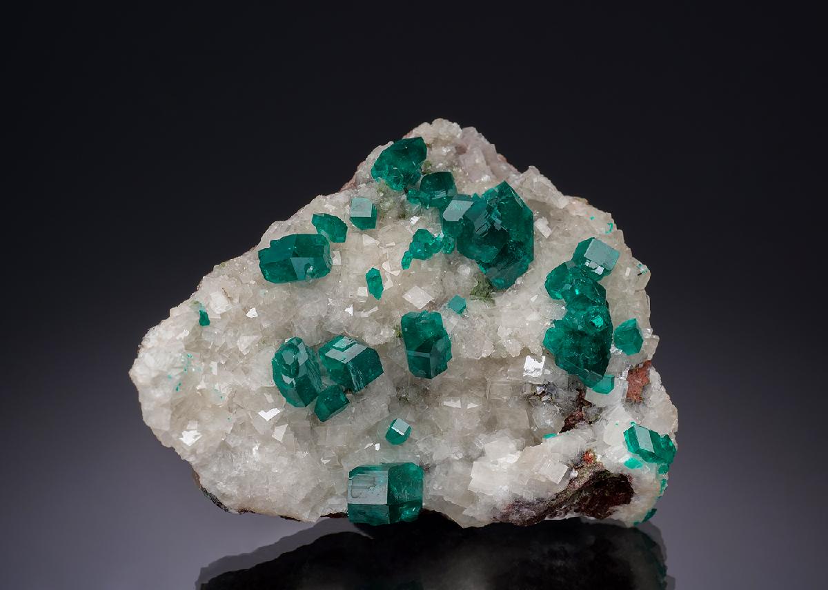 CC8073 specimen image