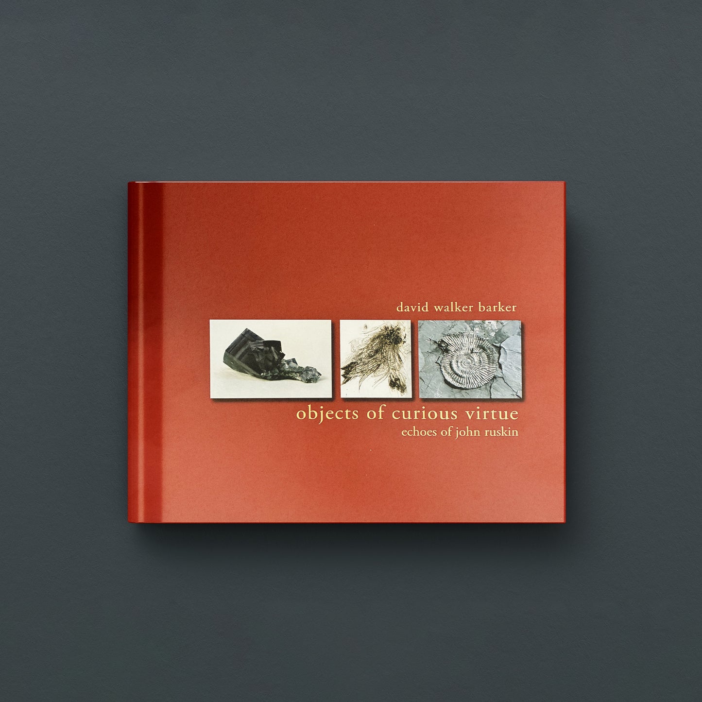 OBJECTS OF CURIOUS VIRTUE: ECHOES OF JOHN RUSKIN (Softback)